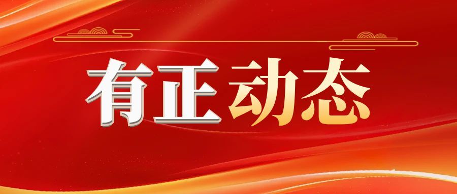 公司动态